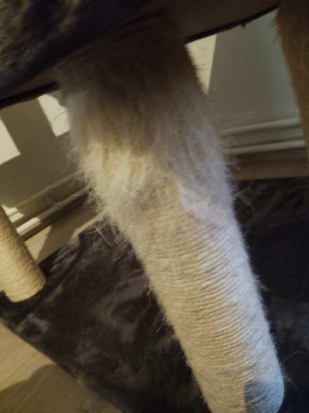 Kissan raapimapuu VARATTU Лахти - изображение 2