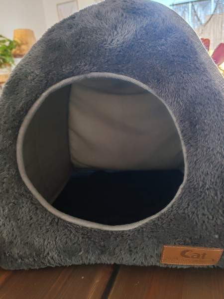 Kissan pesä, peti Salo – foto 1