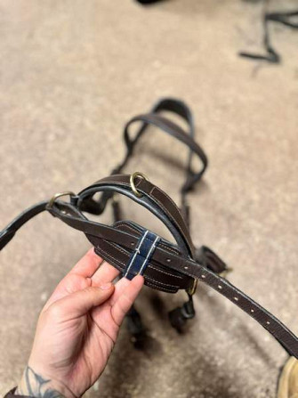 Horseware rambo micklem multibridle Pyhtää - valokuva 3