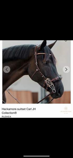 Ruskeat x full hackamoresuitset Humppila - valokuva 1