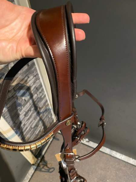 Ruskeat x full hackamoresuitset Humppila - valokuva 2