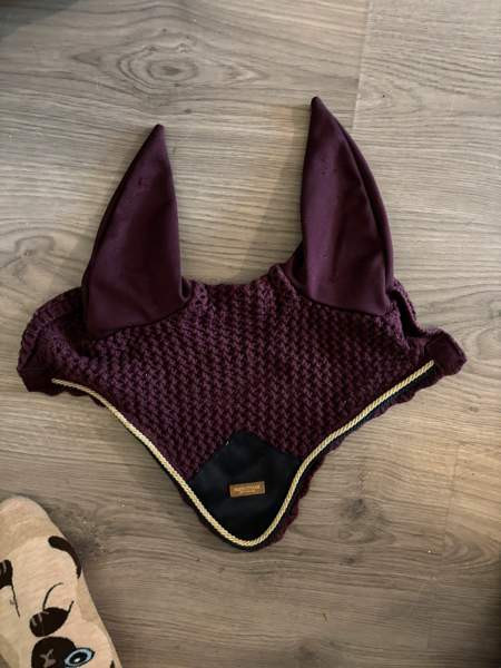 Ess korvahuppu Oulu - valokuva 1