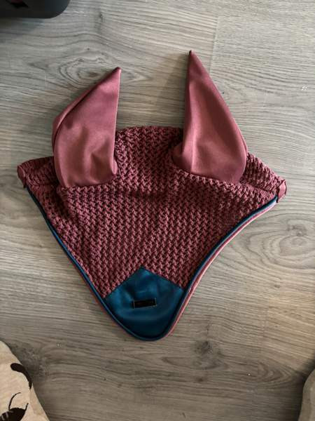 Ess korvahuppu Оулу - изображение 1