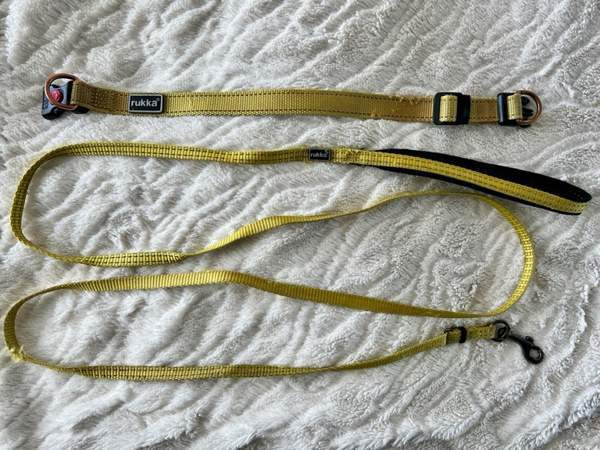 Rukka kaulapanta ja talutushinta / S Kuopio - valokuva 1