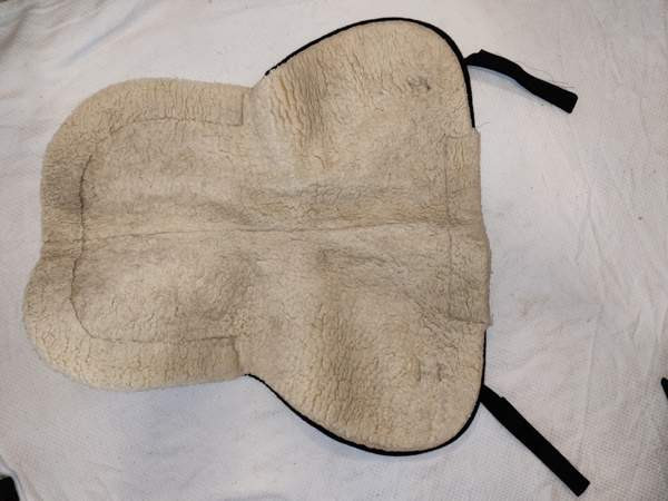 Karvaromaani Mänttä-Vilppula - valokuva 2