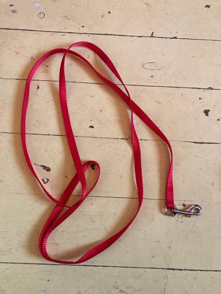 Punainen naru Куопио - изображение 1