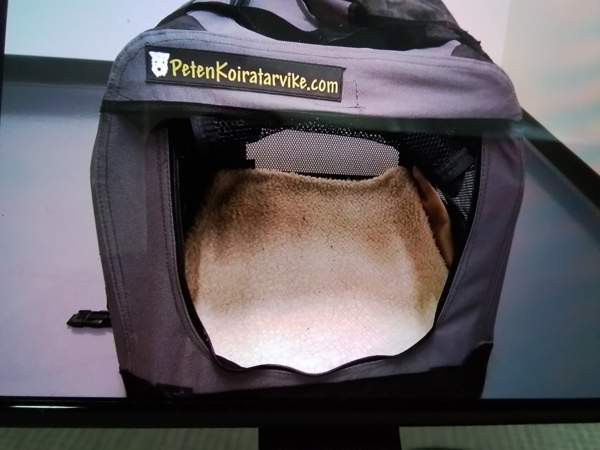 Pienen koiran kevythäkki Liminka - photo 2