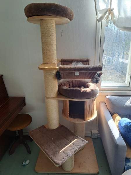 Kissan korkea kiipeilypuu Туусула - изображение 1