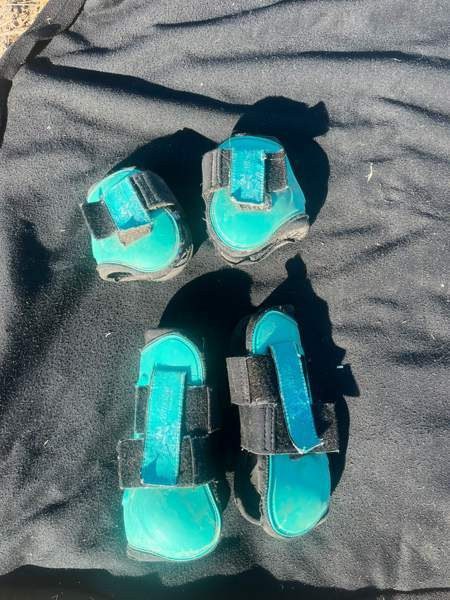 Ratsun suojasettejä Kuopio - photo 2