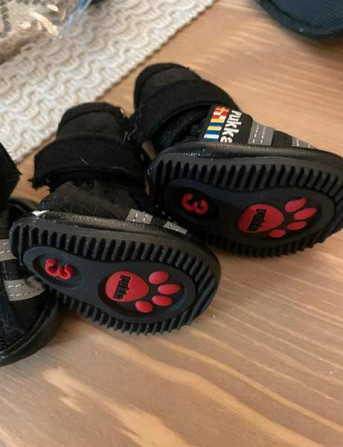 Uudet rukka step koiran tossut Joensuu - valokuva 2