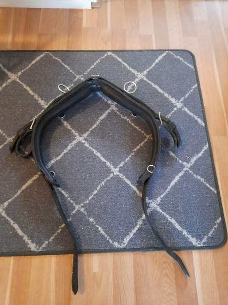 Kuolaimet ja tekkeli Kajaani – foto 2