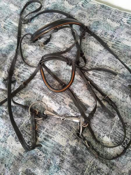 Suitset ohjaksilla Taipalsaari - изображение 1