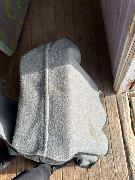 Villaratsastusviltti Cob/pony Lohja - valokuva 3