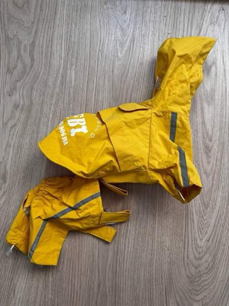 Koiran sädevaatteet Siilinjärvi - valokuva 1