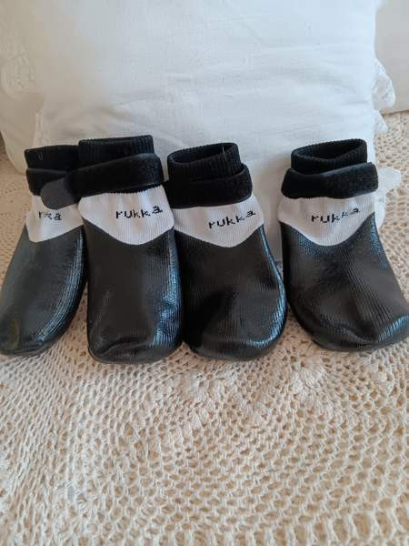 Koiran rukka tossut Tuusula - valokuva 1