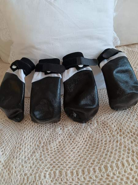 Koiran rukka tossut Tuusula - valokuva 2