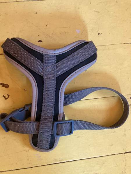 Best Friend -valjaat koko xs Kuopio - valokuva 2