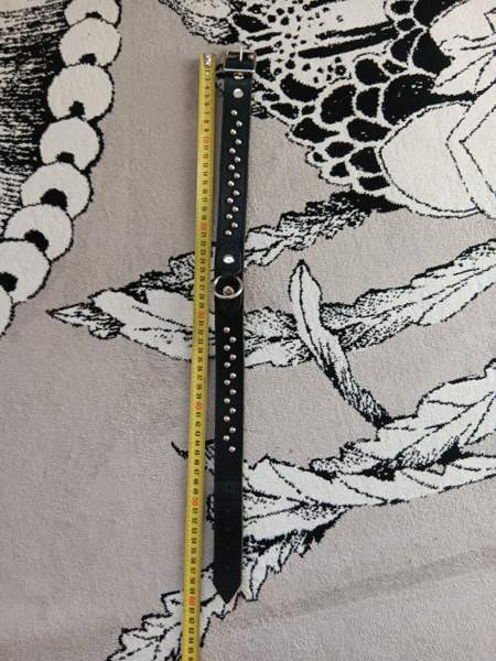 Ison koiran niittipannat Туусула - изображение 6