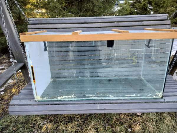 Tipujen terraario Оулу - изображение 1