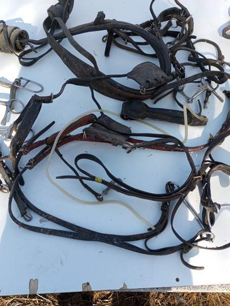 Ravivarusteita Liminka – foto 2