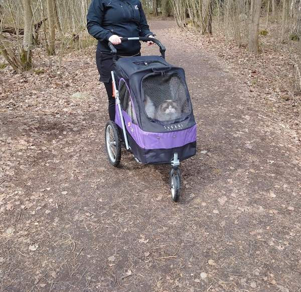 Petstro pöytärattaat Helsinki - изображение 1