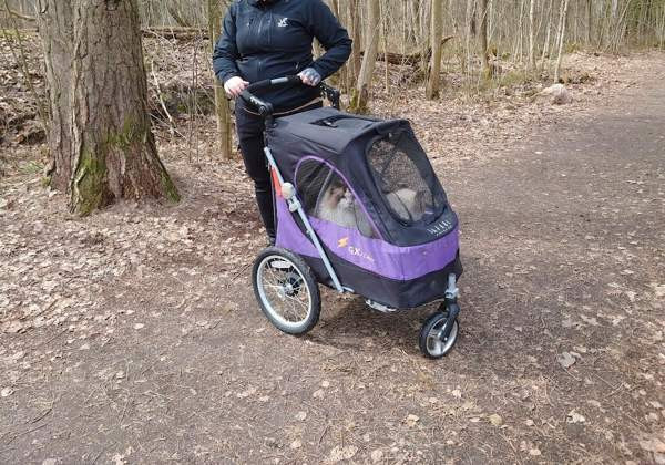 Petstro pöytärattaat Helsinki - изображение 2