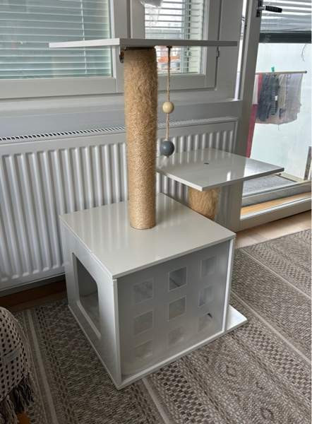 Kissan raapimispuu Helsinki - valokuva 1