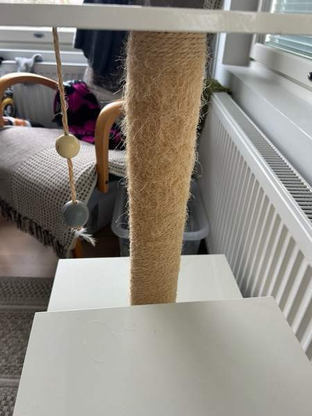 Kissan raapimispuu Helsinki - valokuva 4