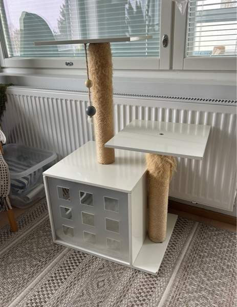 Kissan raapimispuu Helsinki - valokuva 2