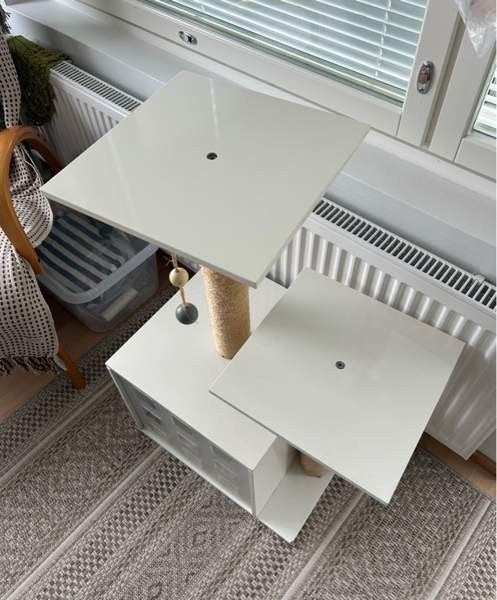 Kissan raapimispuu Helsinki - valokuva 3