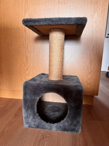 Kissan raapimispuu Kuopio – foto 1