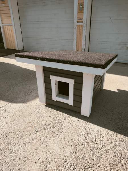 Koirankoppi Alavus - valokuva 1