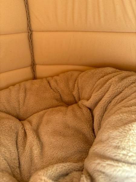 Uusi koiran/kissan peti Helsinki - photo 2