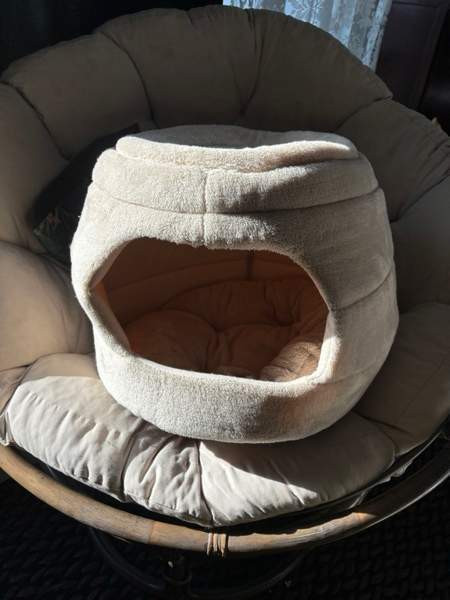 Uusi koiran/kissan peti Helsinki - photo 1