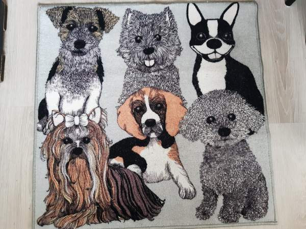 Koiran peti ja muut tarvikkeet. Vantaa - photo 1