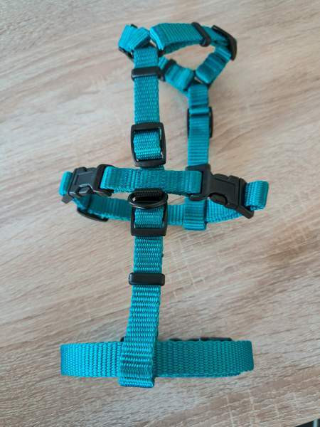 Käyttämättömät MeggyTrails kissan turvavaljaat koko S. (Katso mitat kuvasta). Лахти - изображение 3