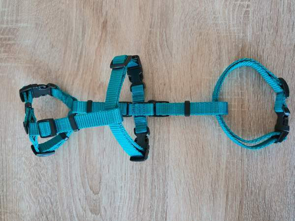 Käyttämättömät MeggyTrails kissan turvavaljaat koko S. (Katso mitat kuvasta). Лахти - изображение 1