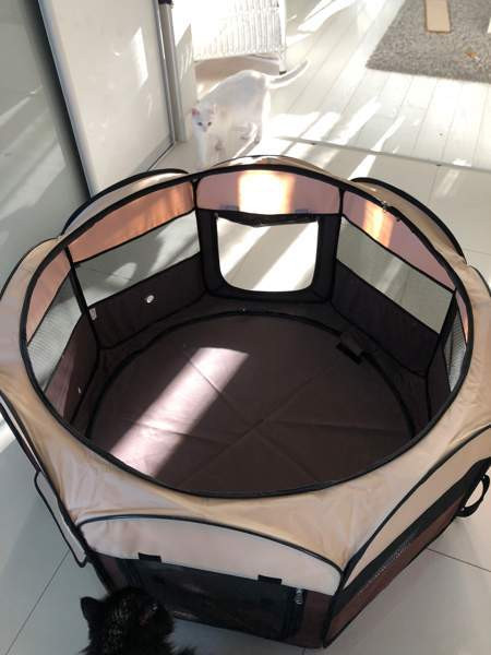 Koiran/kissanpentuaitaus Nokia - valokuva 1