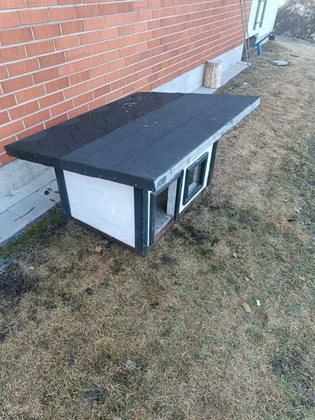 Koiran koppi Oulu - valokuva 3