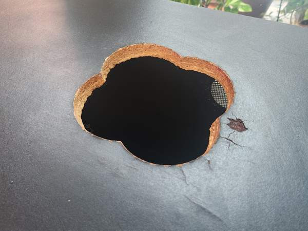 Terapod liukuoviterraario 122×40×37 Joensuu – foto 2