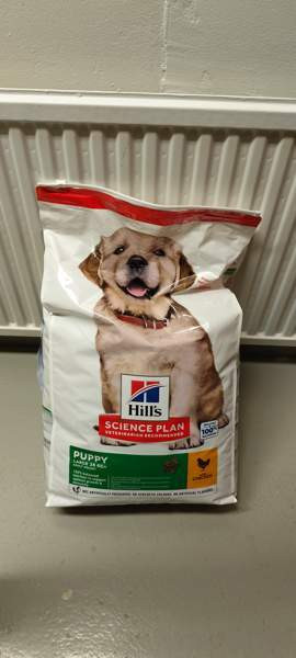 Large puppy 12kg x 2 Jyväskylä - valokuva 1