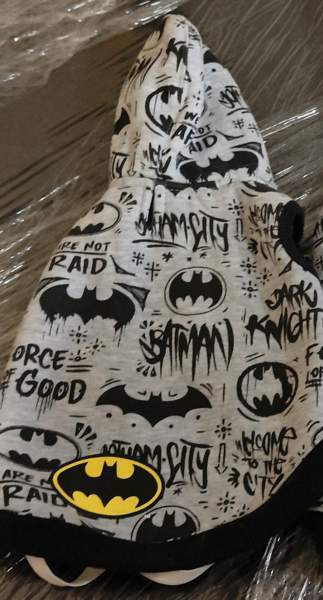 Batman koiran huppari 25cm Kaarina - valokuva 1