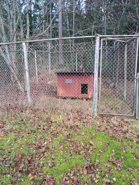 Koiratarha+koppi Jyvaeskylae - photo 1