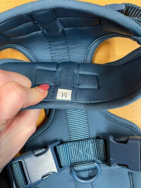 Koiran valjaat tummansininen M uudet Tampere - valokuva 2