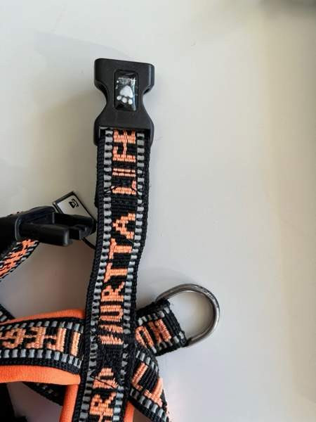 Hurtta lifeguard valjaat Espoo - valokuva 2