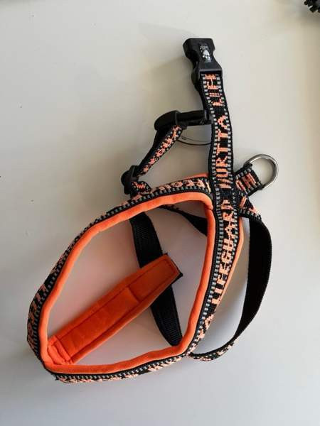 Hurtta lifeguard valjaat Espoo - valokuva 1