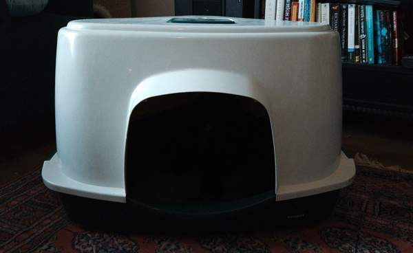 Kissan hiekkalaatikko Helsinki - valokuva 1