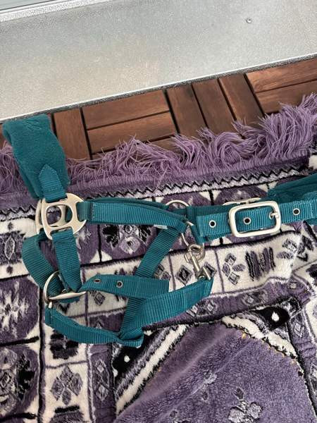 Fairfield riimu COB Helsinki - photo 2