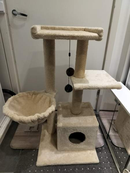 Kissan kiipeilypuu Pori - photo 1