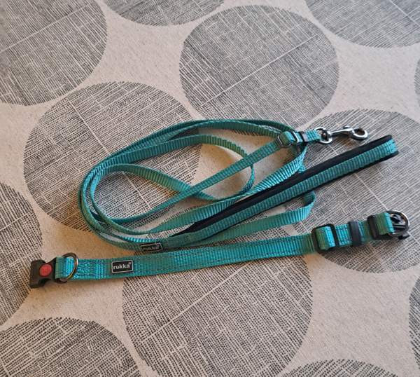 Panta ja talutin pennulle/pienelle koiralle Ювяскюля - изображение 1